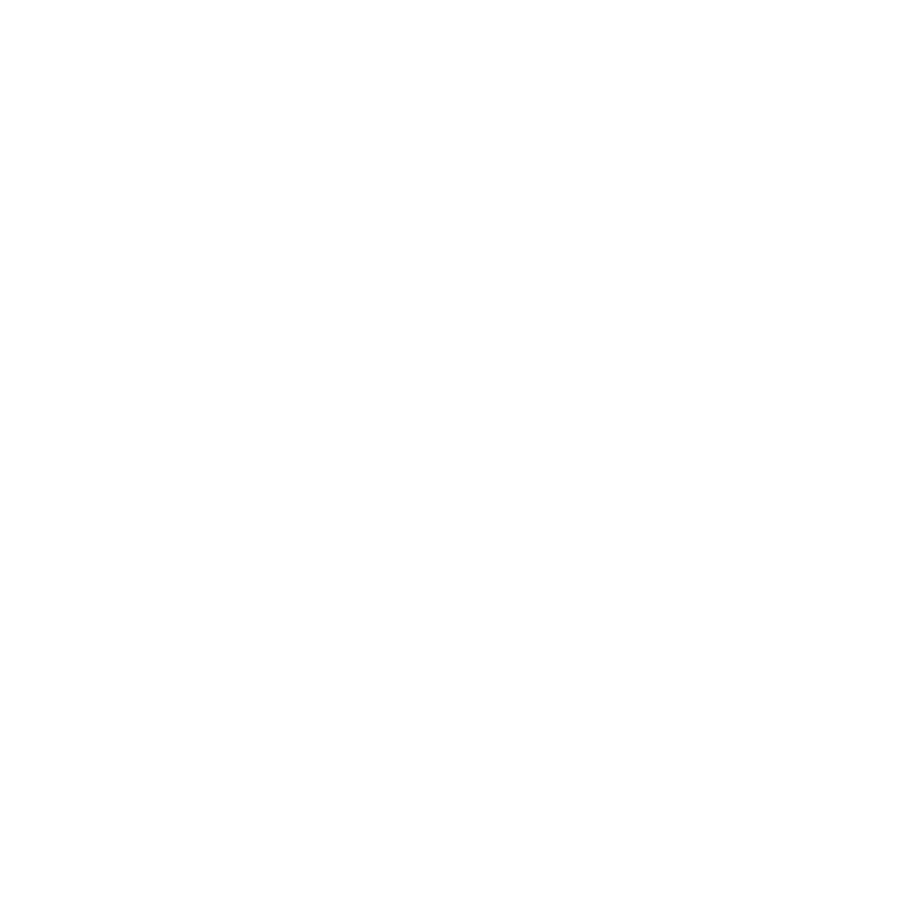 Texas de Brazil Logo