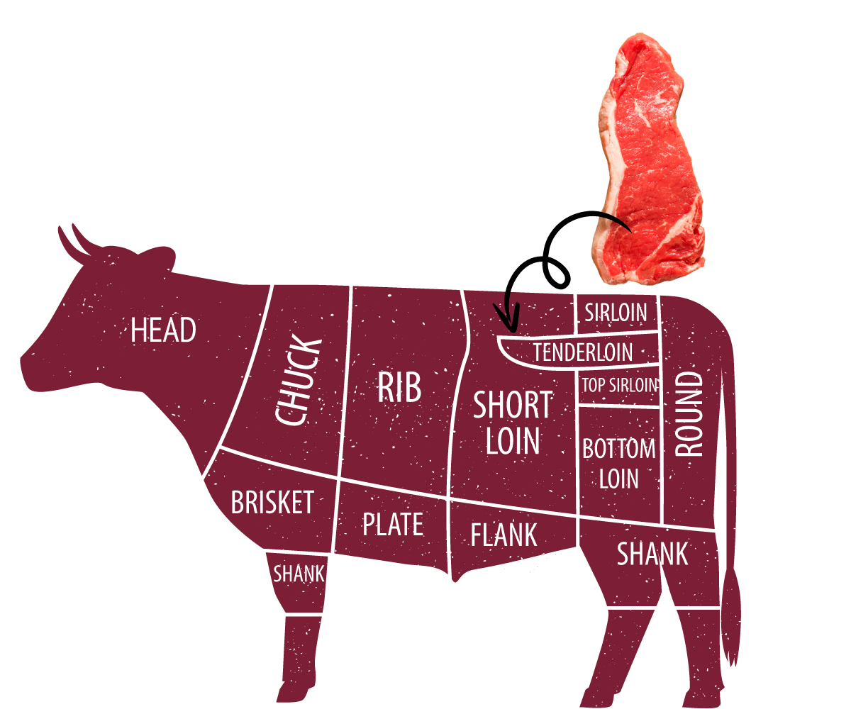 diagram of t bone steak on the cow