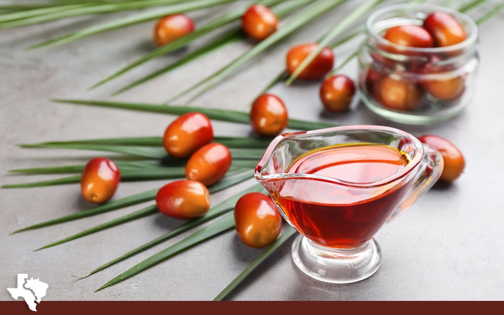 The African Seeds That Built Bahia