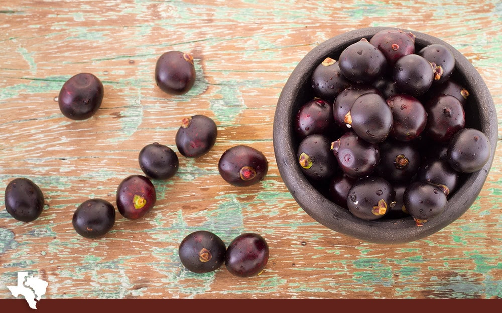 The Acai In Brazil Is Very Different